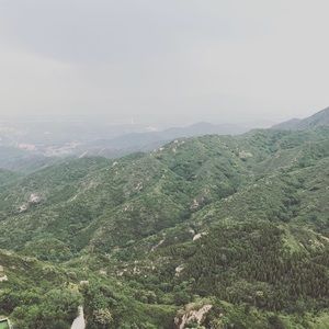 Meet your Posher, Richard